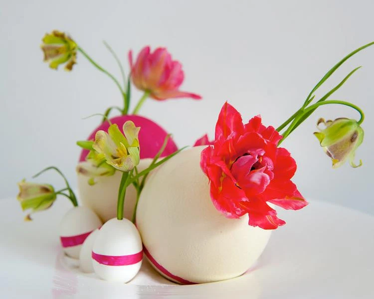 Fritillaria Acmopetala 9 Fritillaria Acmopetala - Image 7