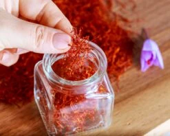 Crocus Sativus -Flowers Sales Store crocus sativus saffron