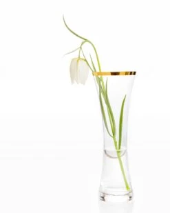 Fritillaria Meleagris 'Alba' -Flowers Sales Store fritillaria meleagris alba 7