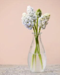 Muscari 'Nature's Beauty' -Flowers Sales Store muscari double beauty 4