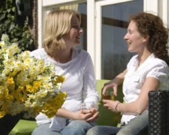 Narcissus 'Avalanche' -Flowers Sales Store narcissus avalanche 7