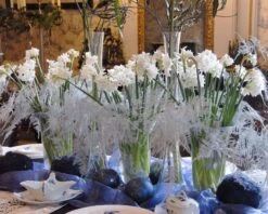 Narcissus Tazetta 'Paperwhite' -Flowers Sales Store narcissus paperwhite 5