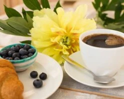 Paeonia 'Bartzella' -Flowers Sales Store peony bartzella 2