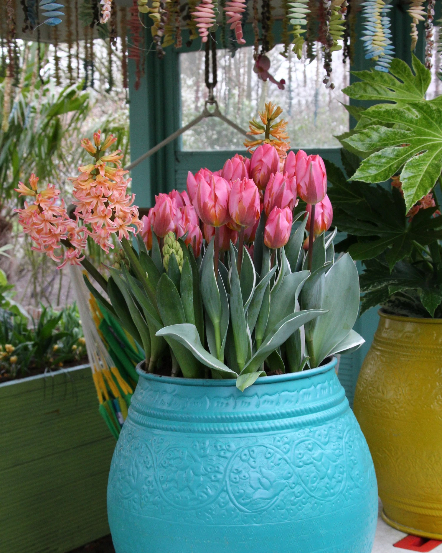 Tulip 'Pretty Princess' 4 Tulip 'Pretty Princess' - Image 2