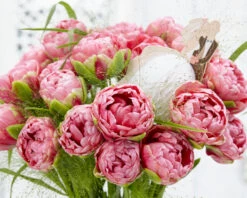 Tulip 'Wedding Gift' -Flowers Sales Store tulip wedding gift 20